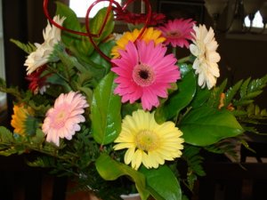 jmtanniflowers.JPG