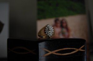 Cartwheel Family Ring_GIMP.jpg