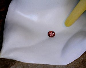 RoseTourmalineflowerpsks.jpg