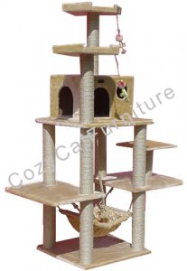 catgymcathammock_m.jpg
