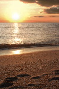 sunset-beach-cape-may_50526.jpg
