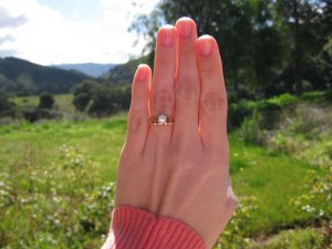 IMG_1337sized.jpg