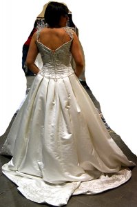 IrisAccentsWeddingDressBack.jpg