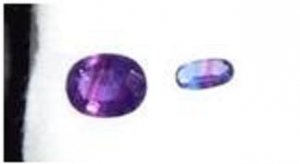 gemmikec0703.jpg