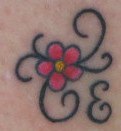5petalflower.jpg