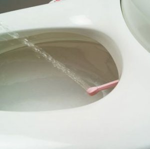 newfangledbidet.jpg