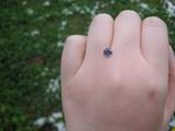 th_IMG_0903.jpg
