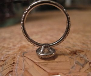 Lesco halo profile.jpg
