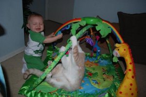 stroller002.jpg