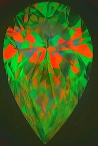 Pear-aset[1].jpg