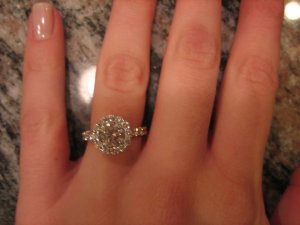IMG_4284.jpg