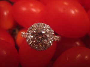 IMG_4298.jpg