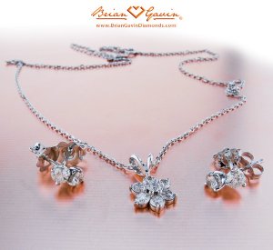 BrianGavin_FlowerPenEar_012710.jpg
