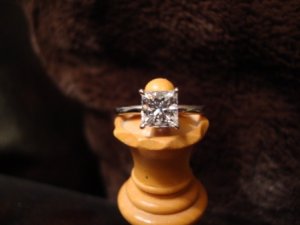 tjm0086.JPG