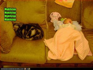 funny-pictures-cat-wants-baby-to-stop.jpg