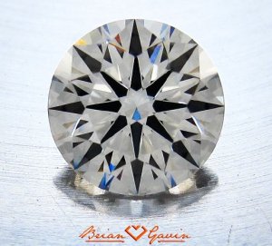 EchidnaBGDEngagementRock copy.jpg