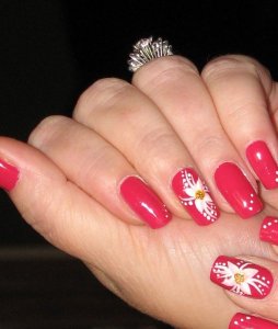 hibiscus_par_fannie.jpg
