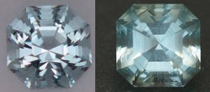 Aqua comparison Gene and Barry freke.jpg