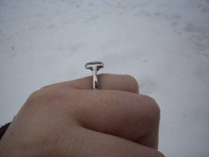 100_04511.jpg