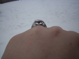 100_04461.jpg