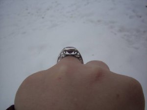 100_04501.jpg