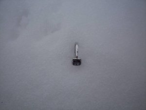100_04781.jpg