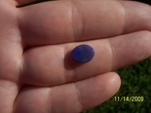 _2009-11-14 005.jpg