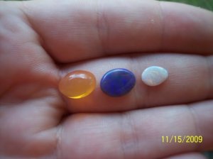 _2009-11-15 017.jpg