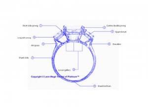 parts of a ring LM.jpg