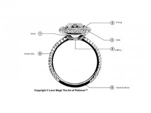 parts of a ring LM halo.jpg