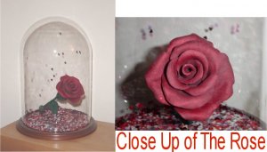 glassdomerose1.jpg