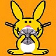 bunnyaca.jpg
