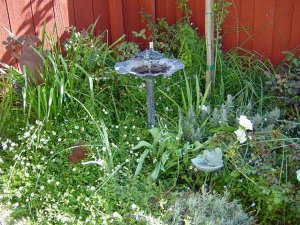 Garden 2003b.JPG