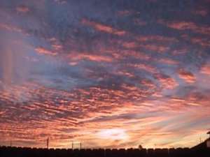 011505-03.jpg