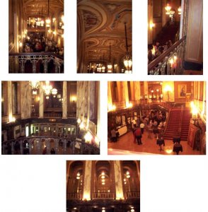 sheas collage.JPG