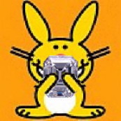 bunnyec.jpg