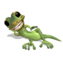 gecko dt.gif