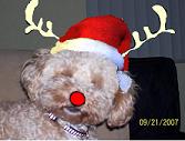 stepcutgrlholiday.JPG