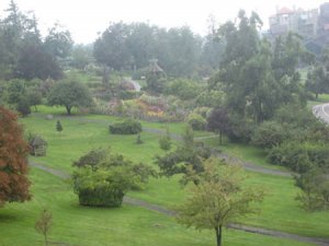 grounds2.JPG