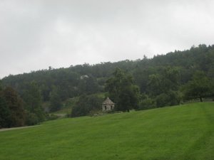 grass3.JPG