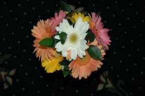 JMTflowers.1.jpg
