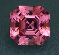 GENETOURM.jpg