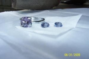 100_12981.jpg