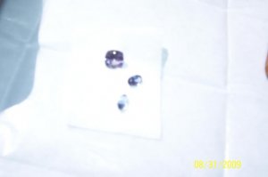 100_13021.jpg
