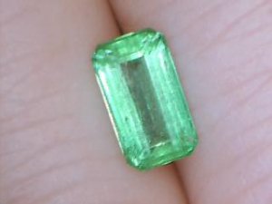 emeraldksps.JPG emeraldksps.JPG