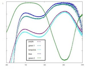 spectra on tourms.jpg