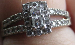 RHR in Macro 009.jpg