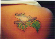 frog.jpg