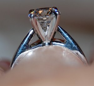 DSC_0377.jpg