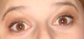 eyes335.jpg